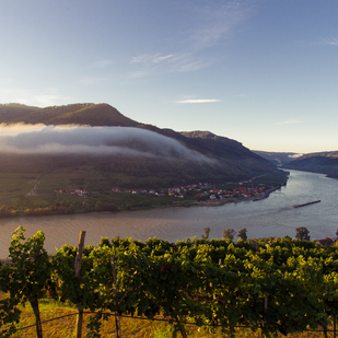 Spitz an der Donau